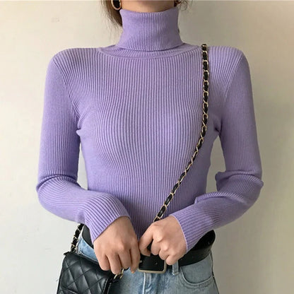 Vickie - Stylish Warmth Sweater-Purple